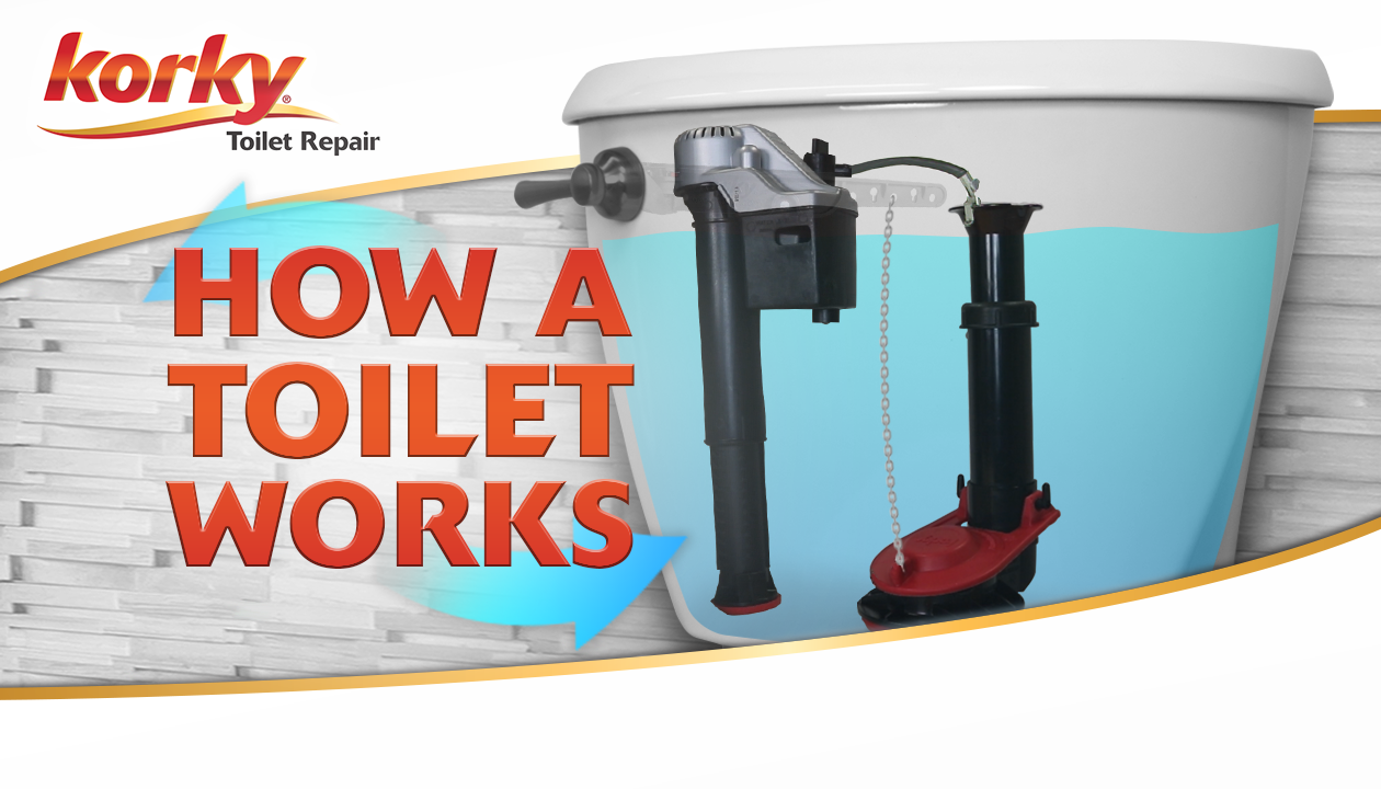 how a toilet works video thumbnail